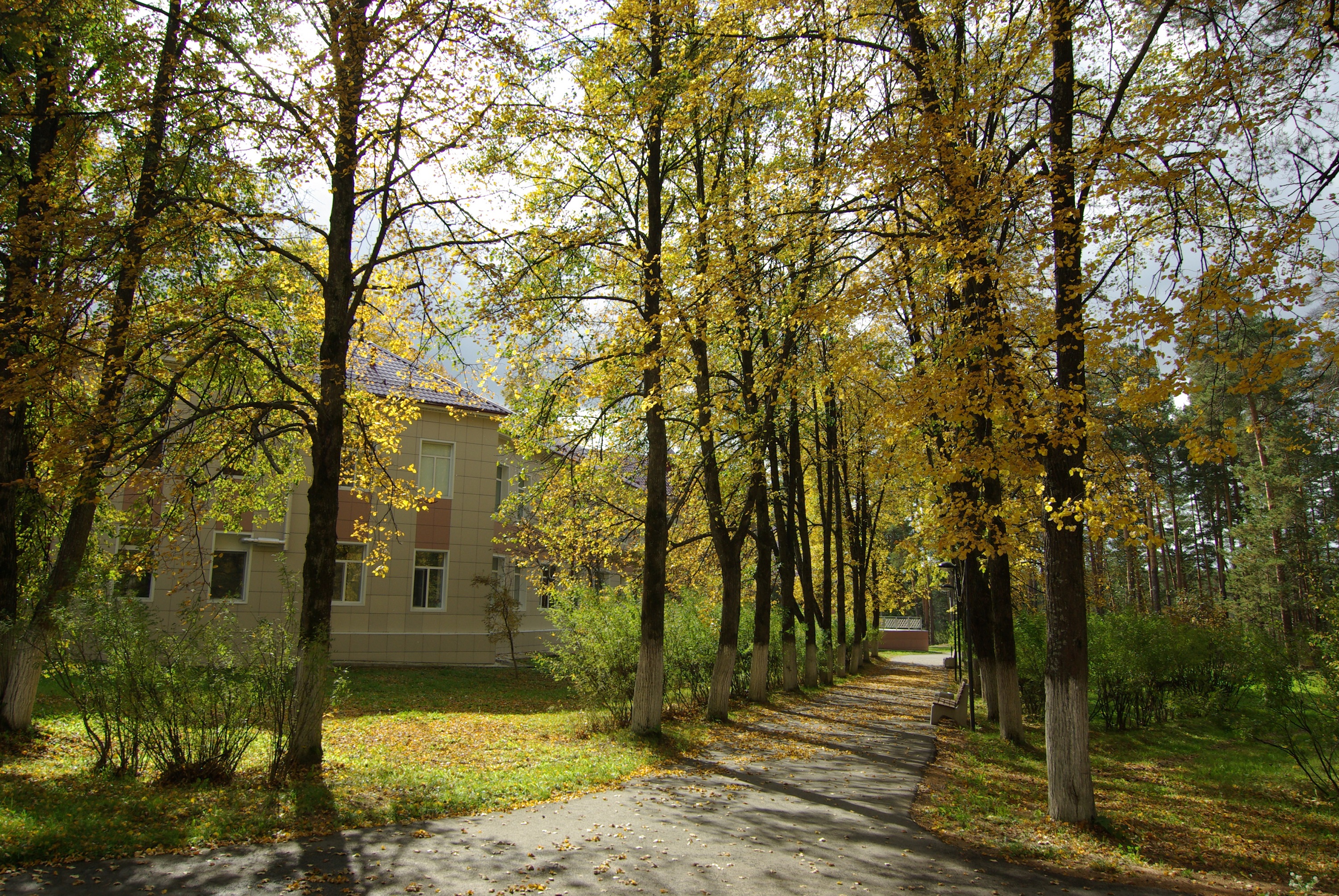 Фото отеля 3