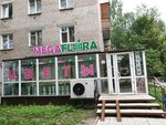 MegaFlora (Plekhanova Street, 60), flower shop