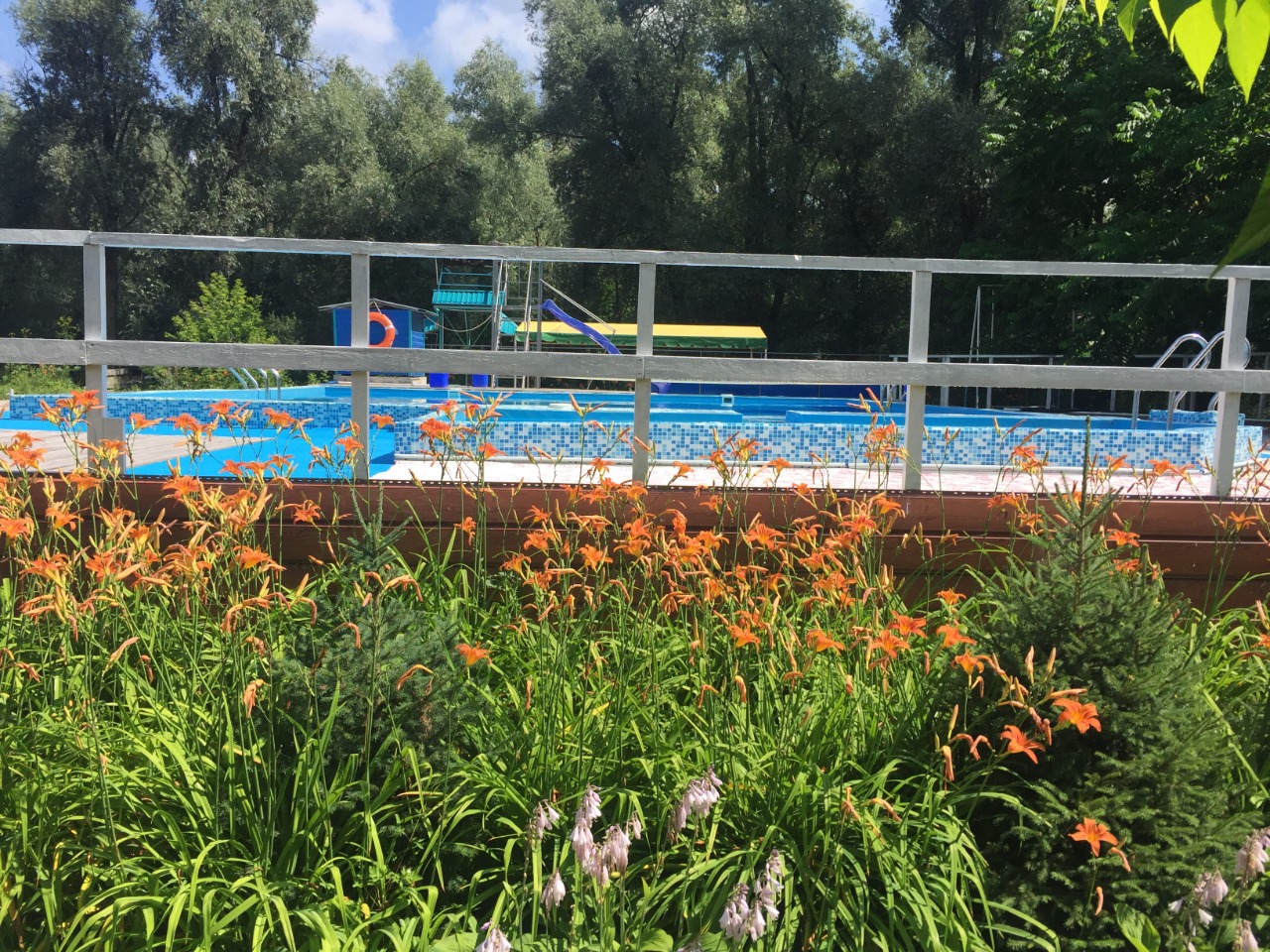 Фото Колибри