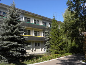 Сосны