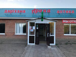 Arina (Village of Zachagansk, Zhangir Khan Street, 68/3), pharmacy