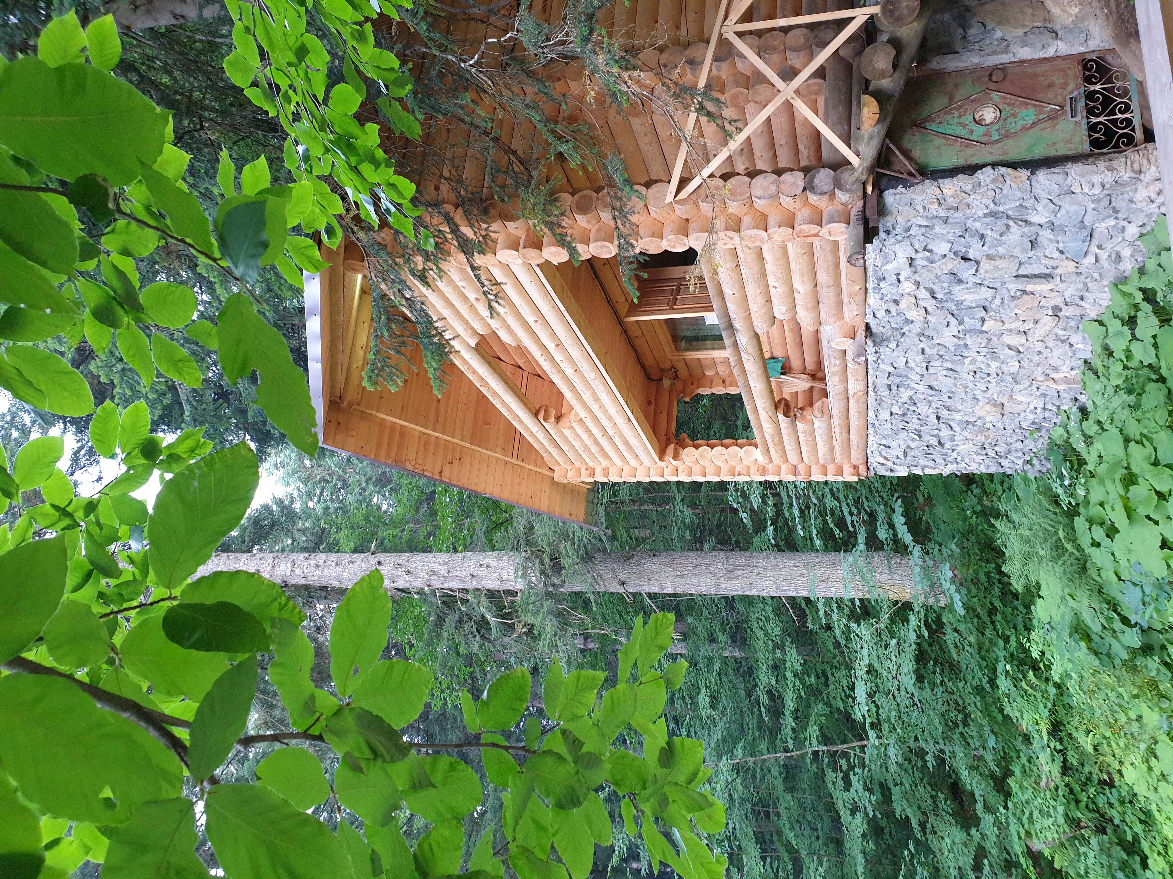 Фото Домик в лесу