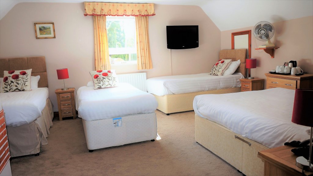 Фото The Lawn Guest House