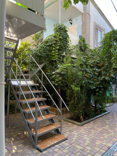 Майлы қыздар жопқа сіңеді (видео)