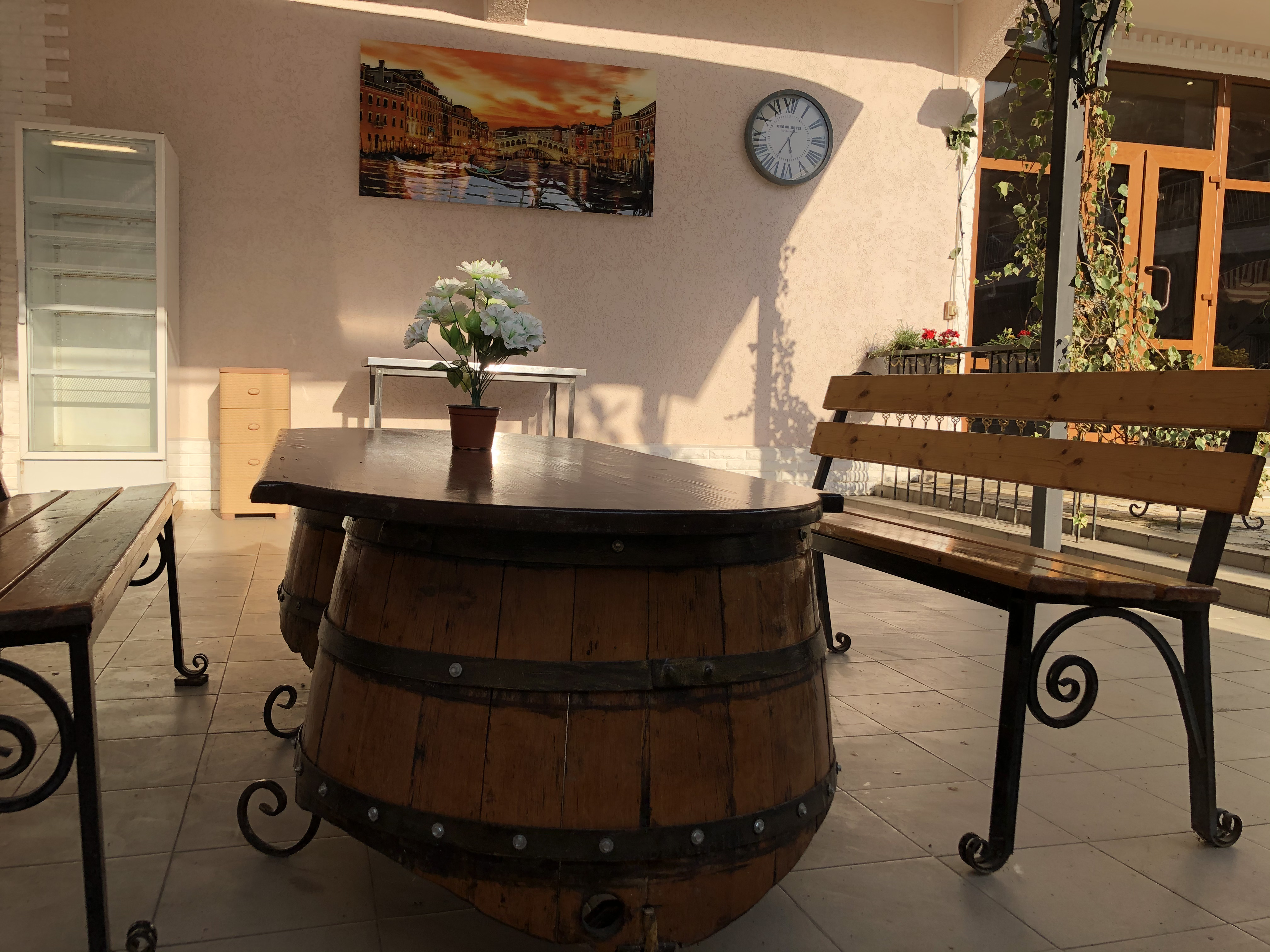 Фото Платан