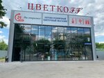 Flower shop Cvetkoff (Yamskaya Street, 70) ، محل زهور