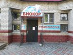 Биокор (Karl Marx Street, 69Б), dental clinic