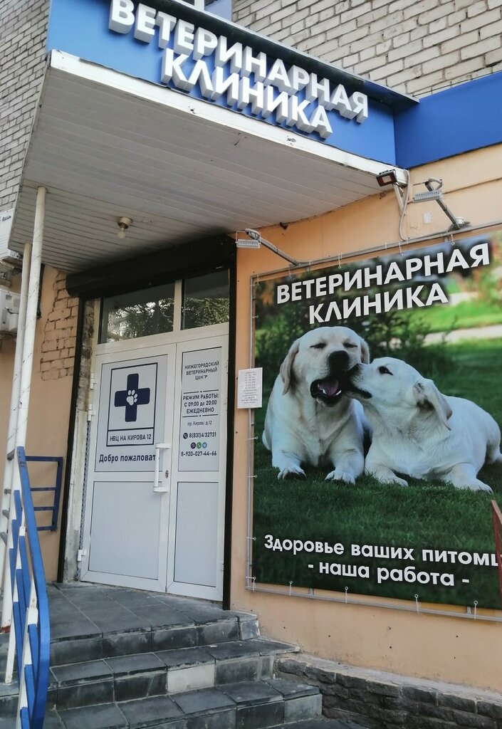 Клиника веста нижний новгород