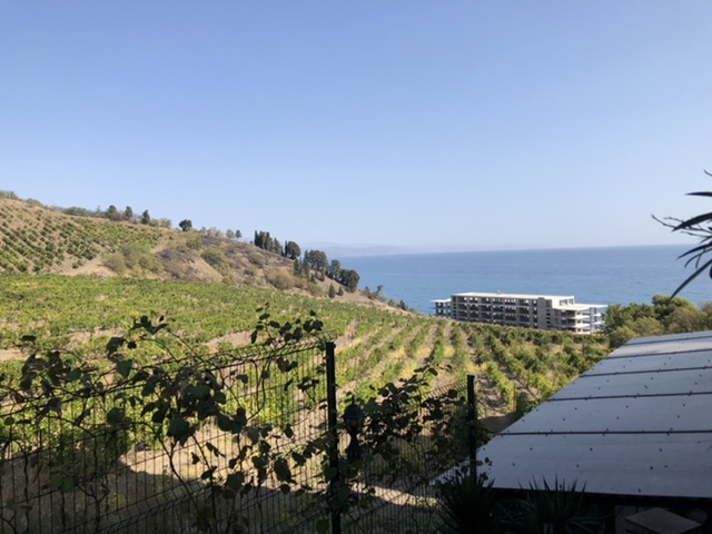 Фото Аннигора