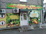 Мир овощей и фруктов (ул. Свободы, 16, Самара), магазин овощей и фруктов в Самаре