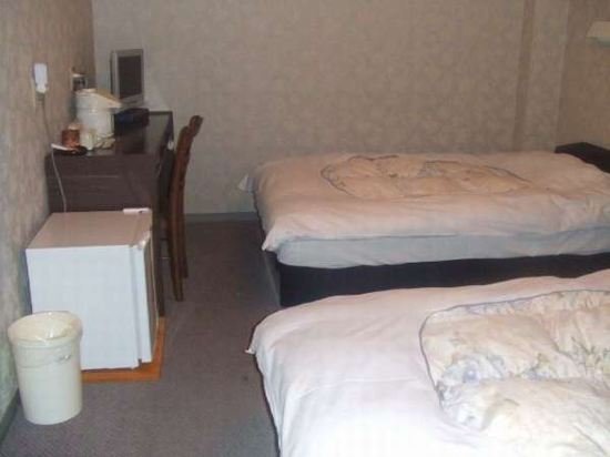 Фото Hikone Station Hotel