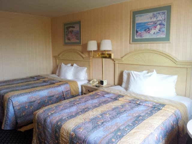 Фото Meadowlands View Hotel