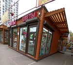 Цветы (Voronezh, 9 Yanvarya Street), flower shop