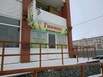 Gnomik detsky klub Lukiyanova i. Yu. Ip (Moskovskiy Tract Street, 179к1), organization of children events