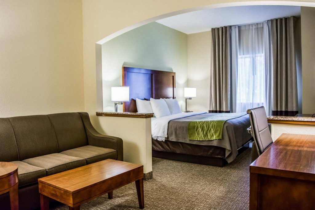 Фото Comfort Inn Fort Myers Northeast