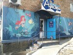 Ariel (100-letiya Vladivostoka Avenue, 30В), acuarios