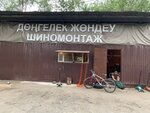 Tire service (Rıshat jáne Mýslım Abdýllınder kóshesi, 46), tire service