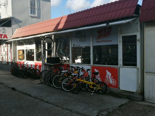 RealVelo 262 1