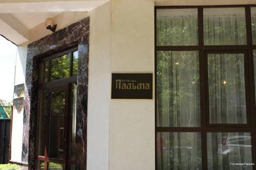 Фото Пальма