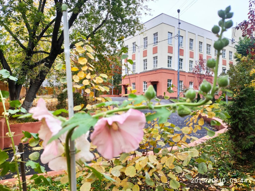 Общеобразовательная школа Школа № 1234, немецкий язык, начальная и средняя школа, Москва, фото