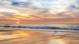 Фото Ibis Nice Aéroport Promenade des Anglais