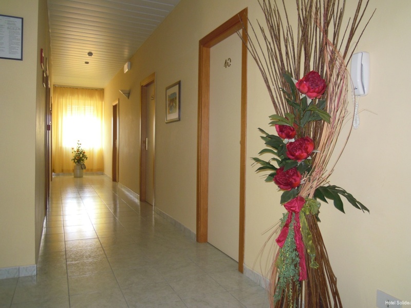 Фото Hotel Solidea