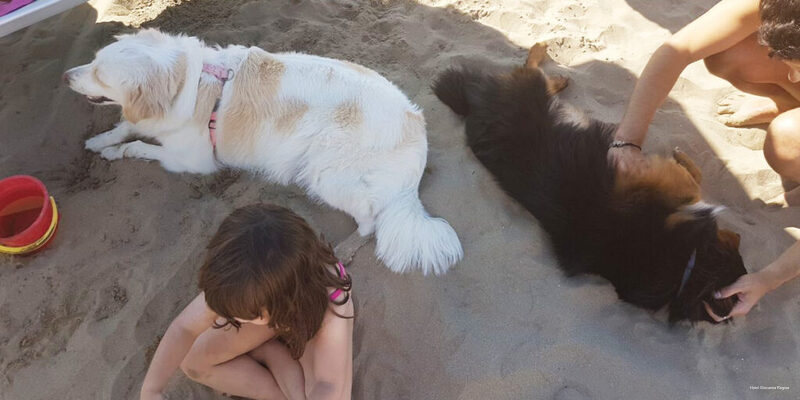 Фото Hotel Giovanna Regina