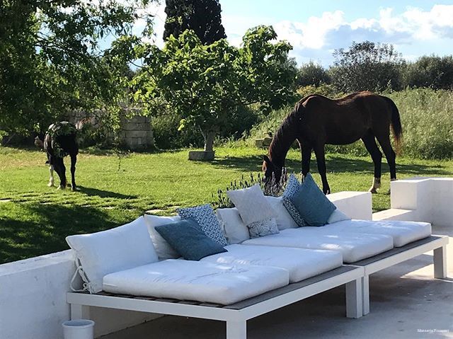 Фото Masseria Prosperi