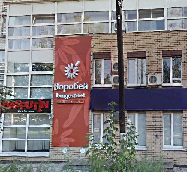 Фото Воробей