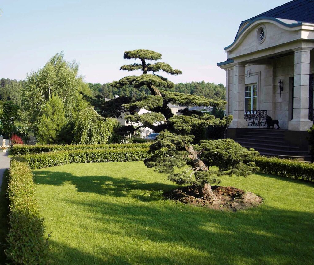 Landscape design Novaya Usadba, Korolev, photo