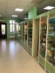 Izabella (Khlebnikovo Subdistrict, Novoye Highway, 12), farmacia