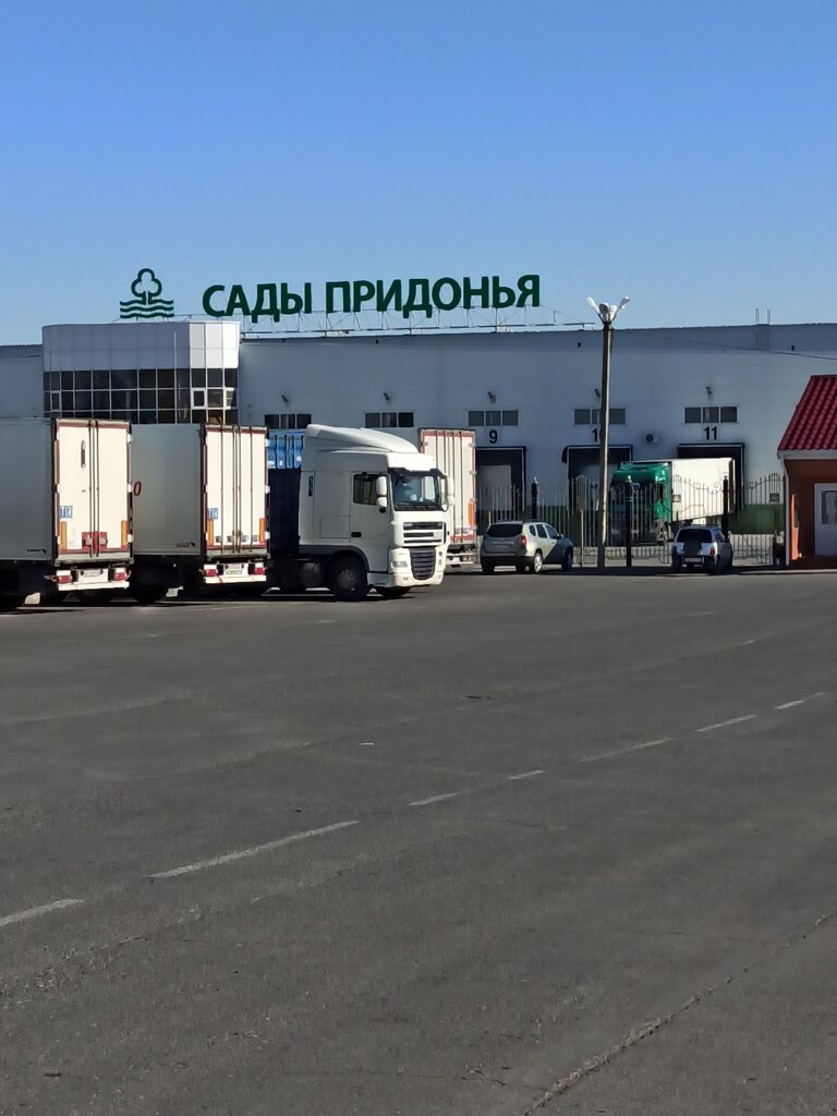 Сады придонья фото поселка