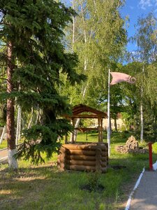 Берёзка