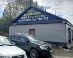 G-auto (Tralovaya Street, 45), car service, auto repair