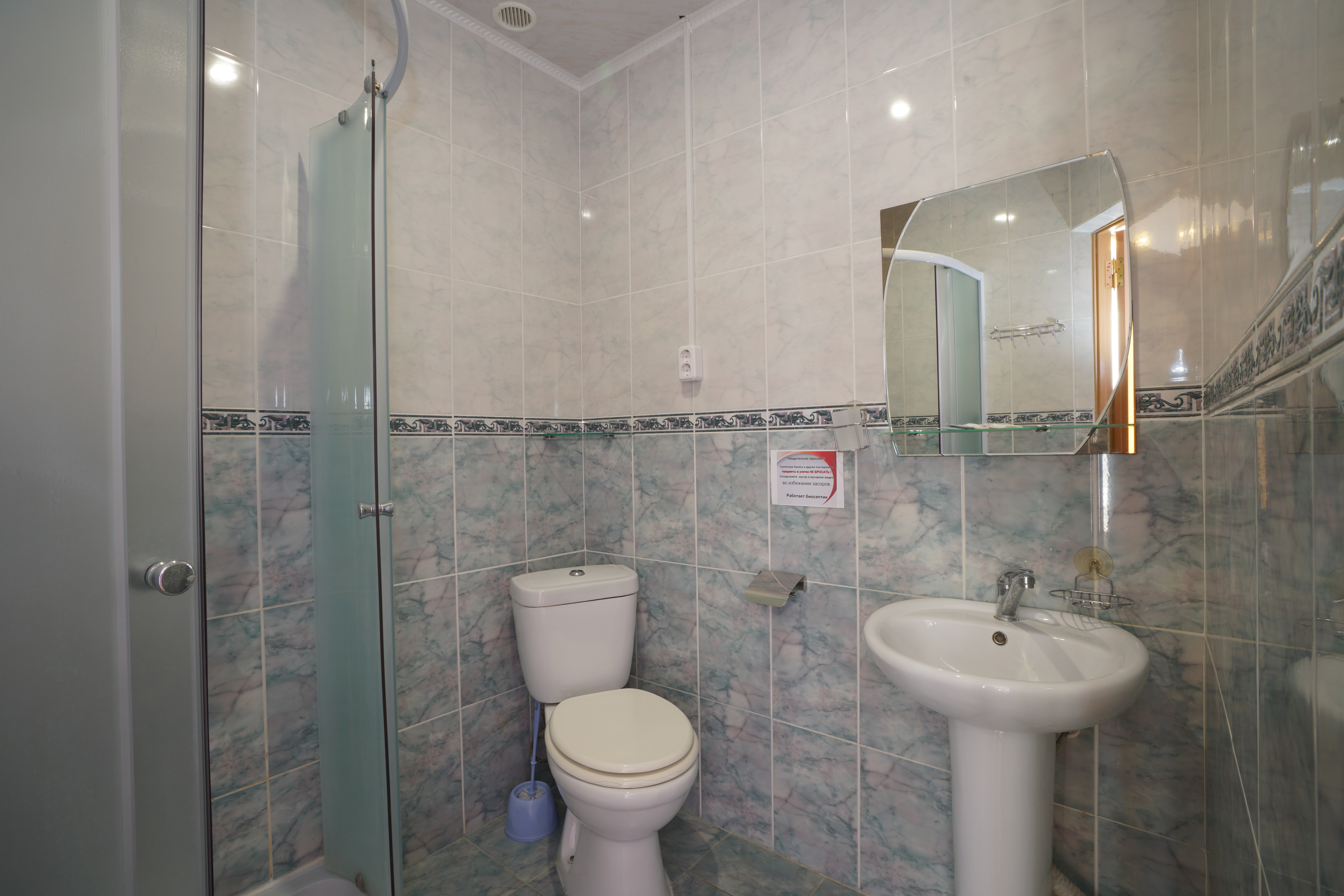 Фото Эдельвейс