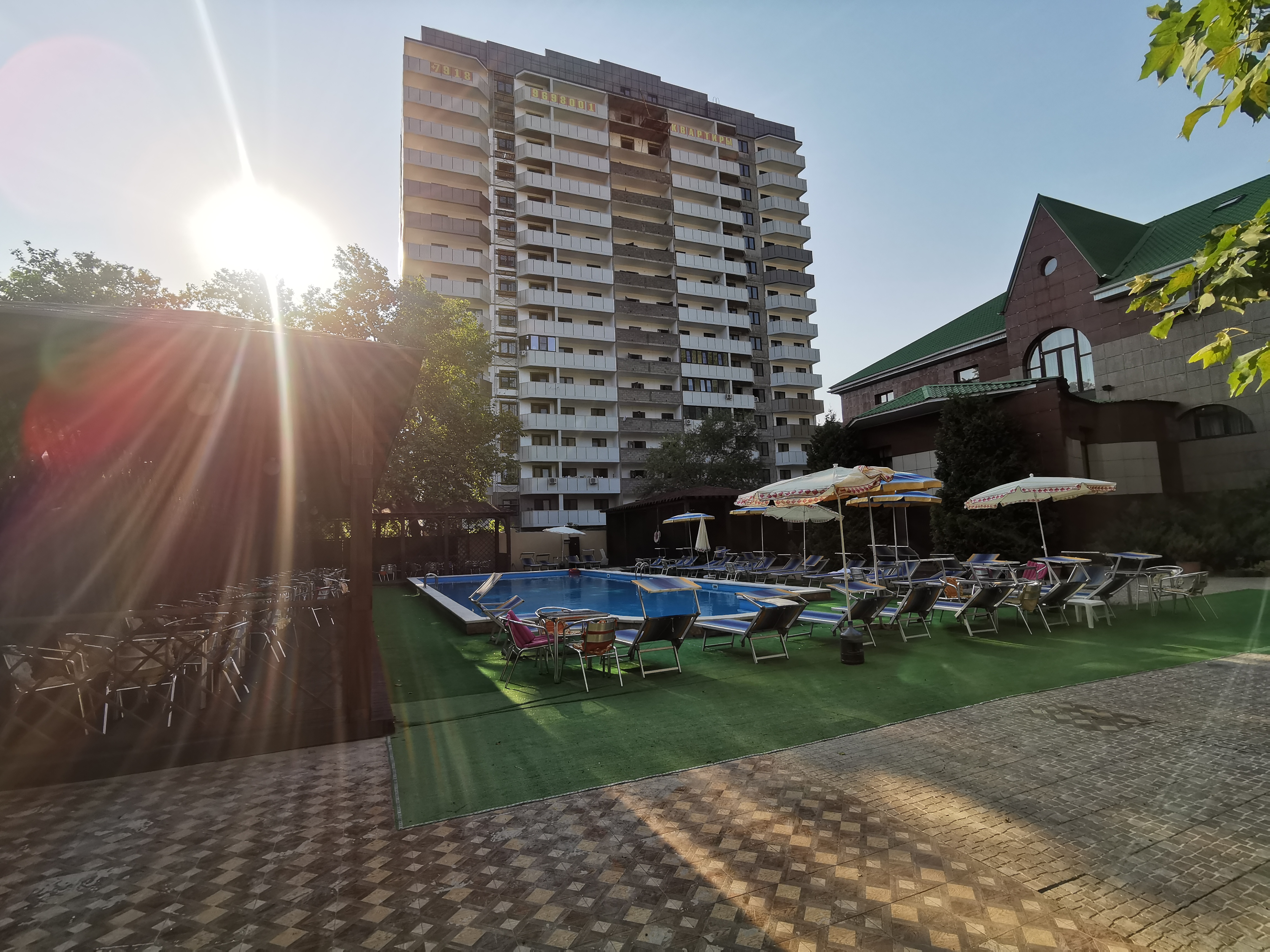 Фото Кипарис