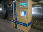 Ozon Box (ulitsa Shosse Neftyanikov, 42), parcel automat
