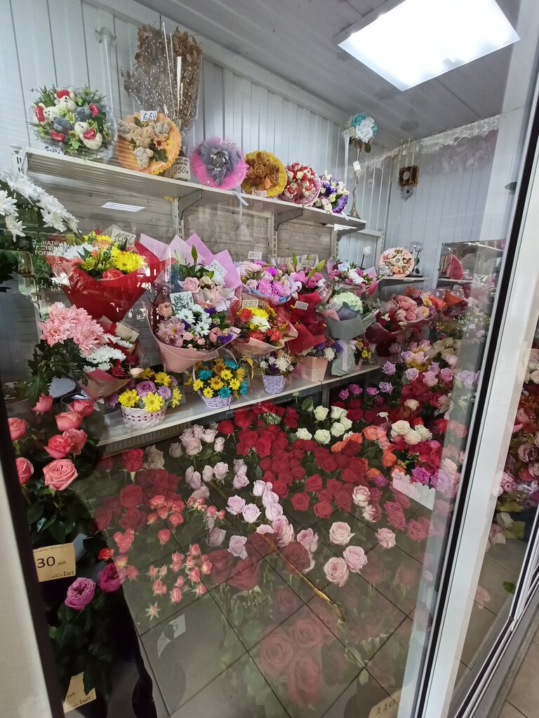 Цветочные магазины в димитровграде салинеро