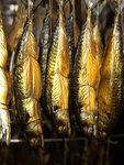 Золотая Рыбка (Державинская ул., 5), рыба и морепродукты во Всеволожске