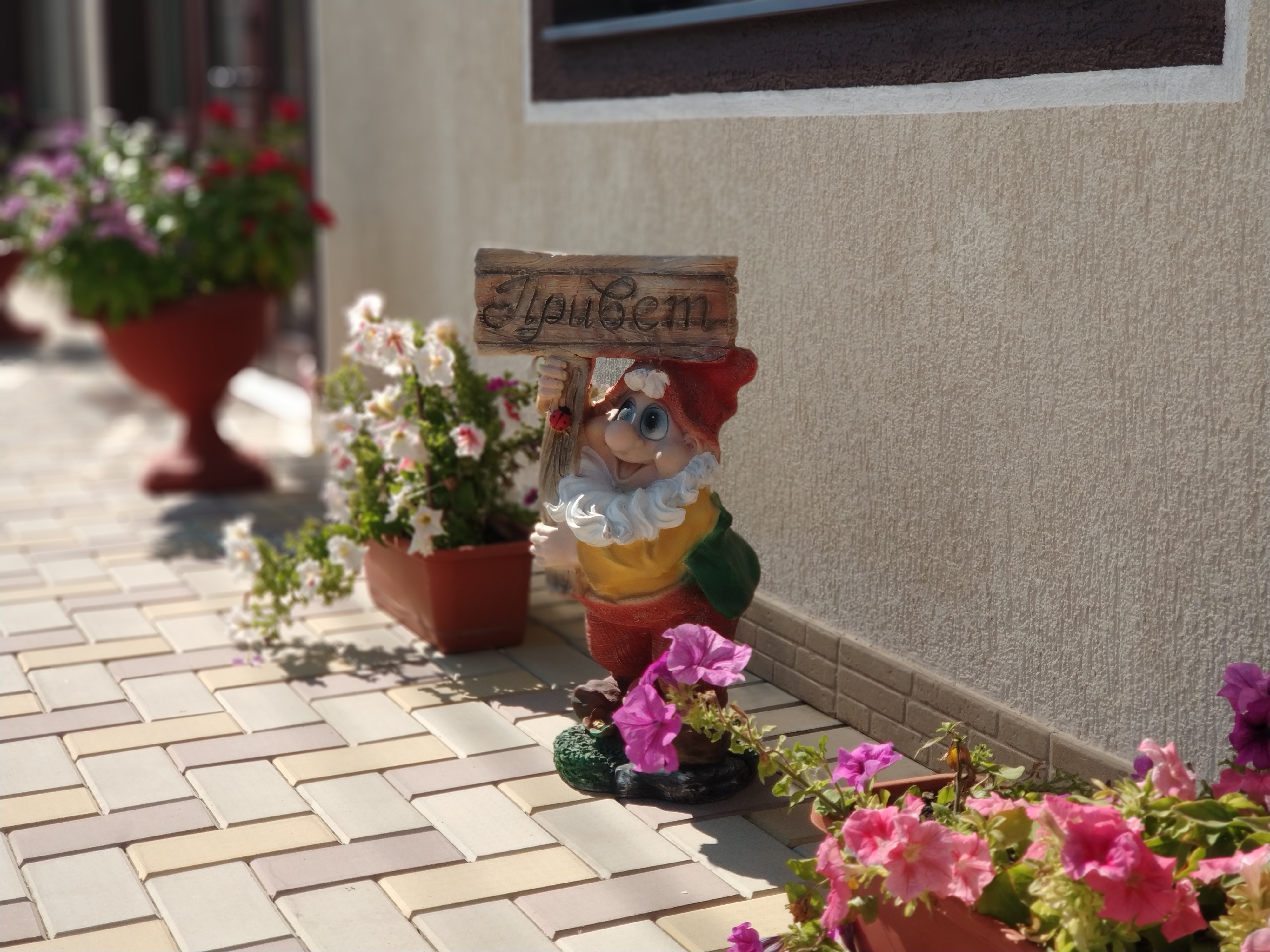 Фото АллиАнна