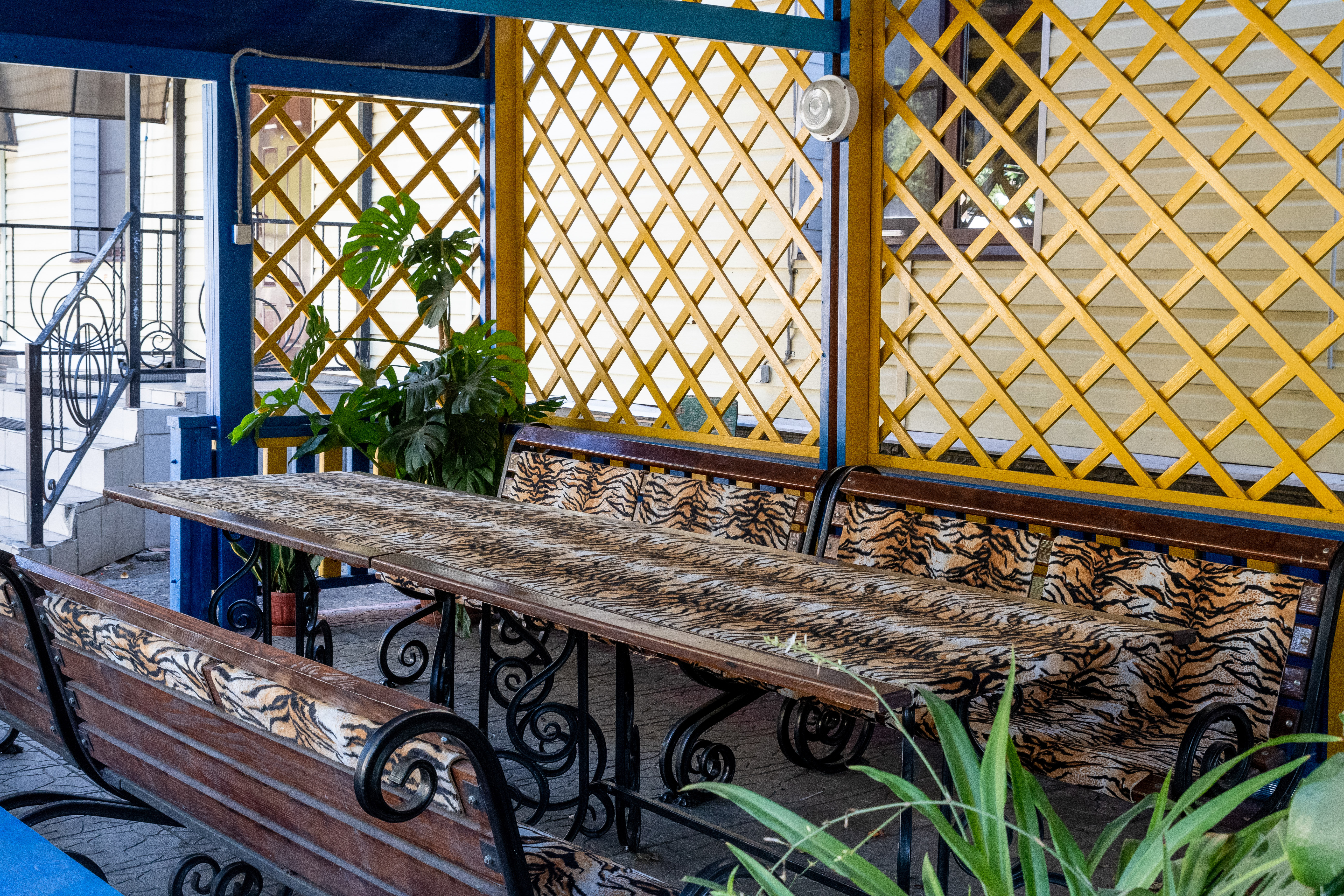 Фото Согдиана