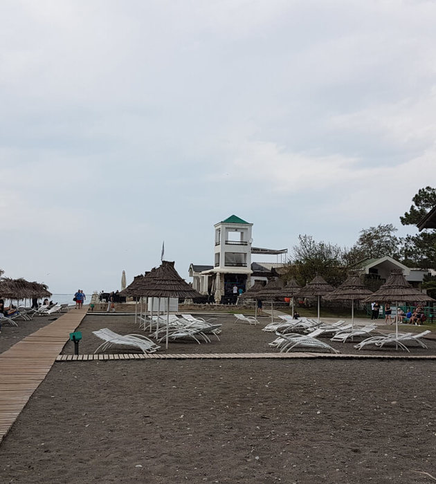 Фото Самшитовая роща