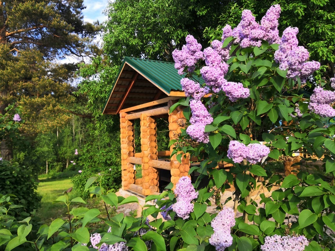 Фото Фазенда Глухомань