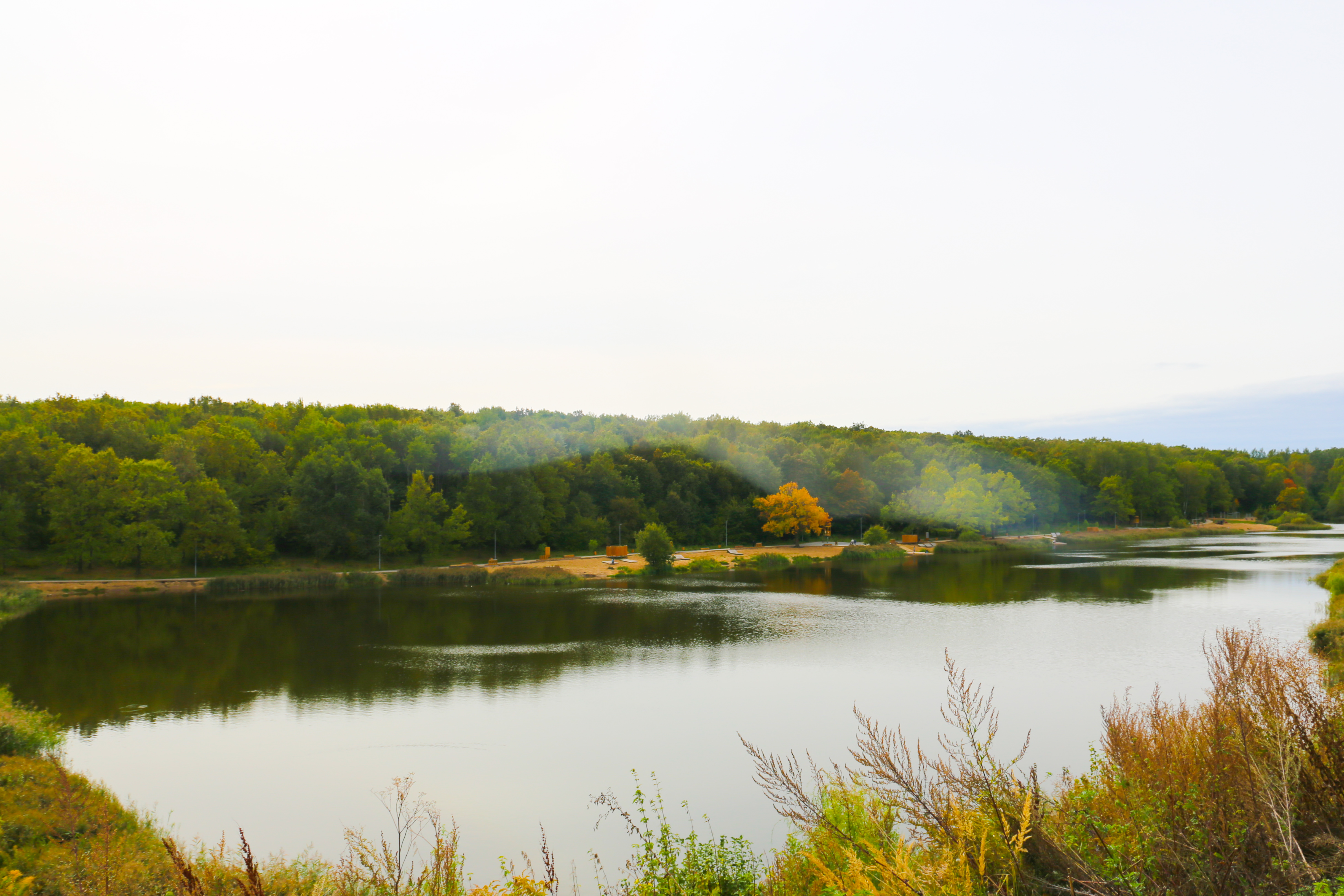 Фото Клевер Удачи
