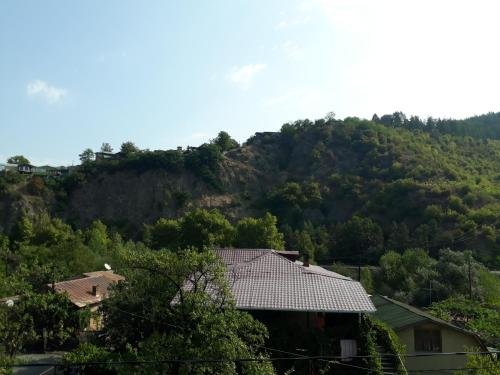 Фото Гостевой дом Lia Jamdelianis