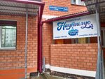 Наутилус (Dalnevostochnaya ulitsa, 141) ، تنظيم الأحداث