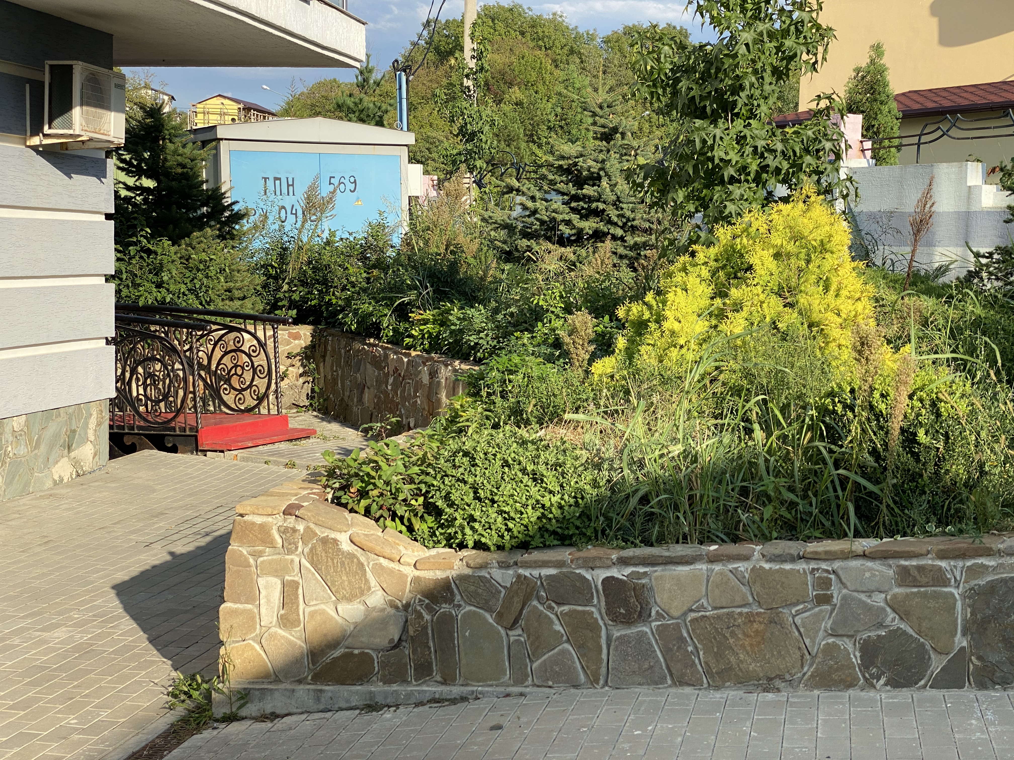 Фото Гостеев