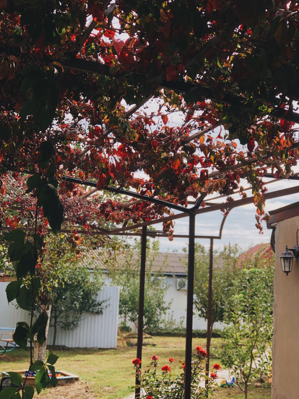 Фото Привет, родной!