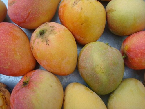 Внешний вид отеля Bitingui Praia Hotel в Жапаратинге, фото 3