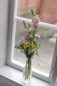 Гостиница Hilma Winblads Bed & Breakfast